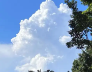 麟洛天气预报,麟洛7天天气预报,麟洛15天天气预报,麟洛天气查询